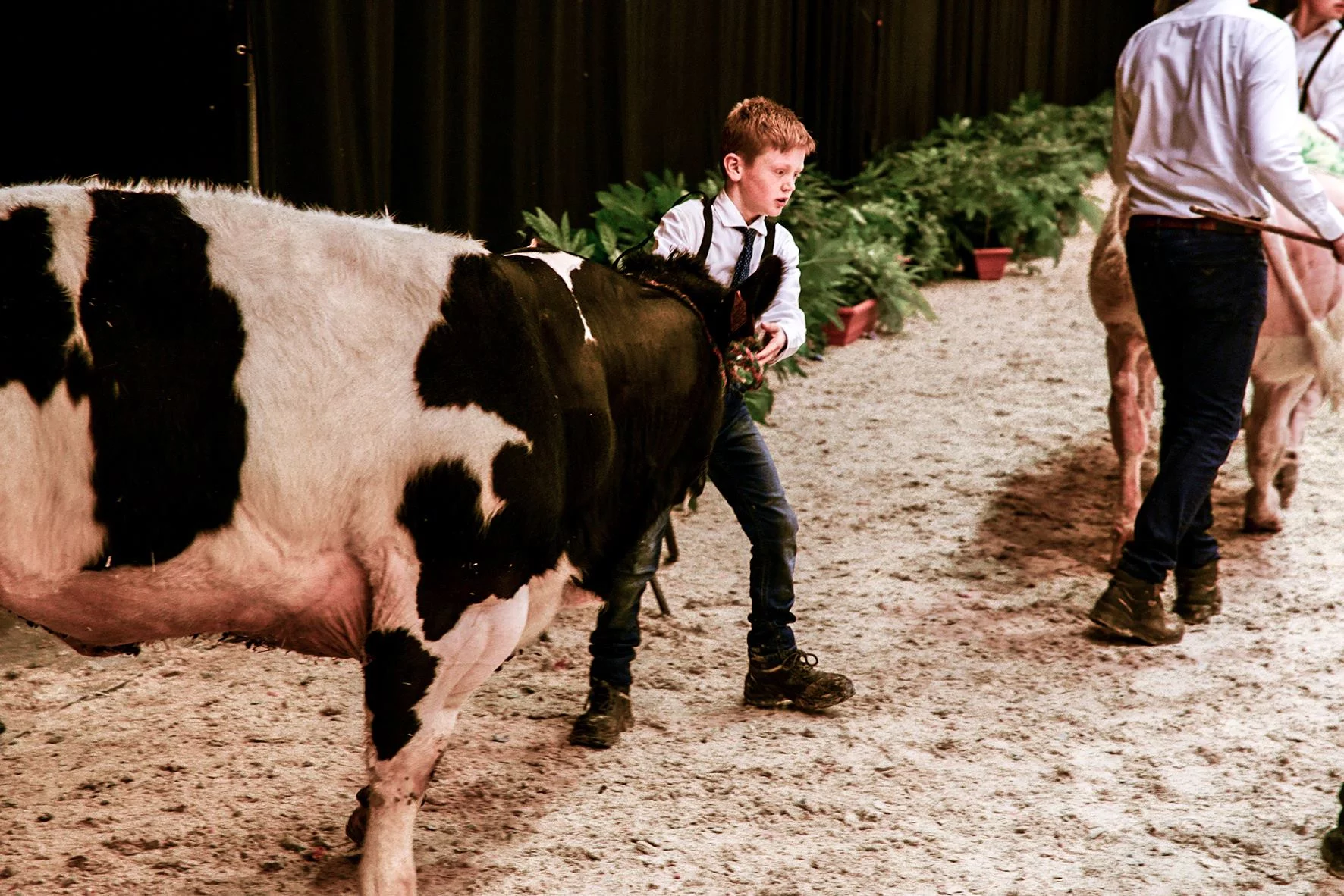 AGRIFLANDERS - 2019