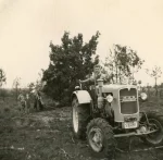 The beginning of Luyckx