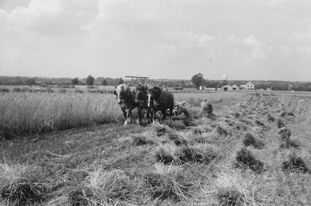 Onze geschiedenis, in beeld