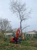 Afbeelding MDE boomknipschaar - K200